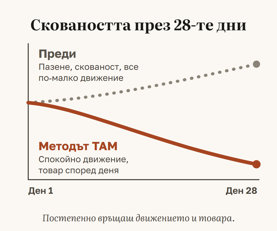 Сковаността през 28-те дни: какво става при пазене и при Метода ТАМ